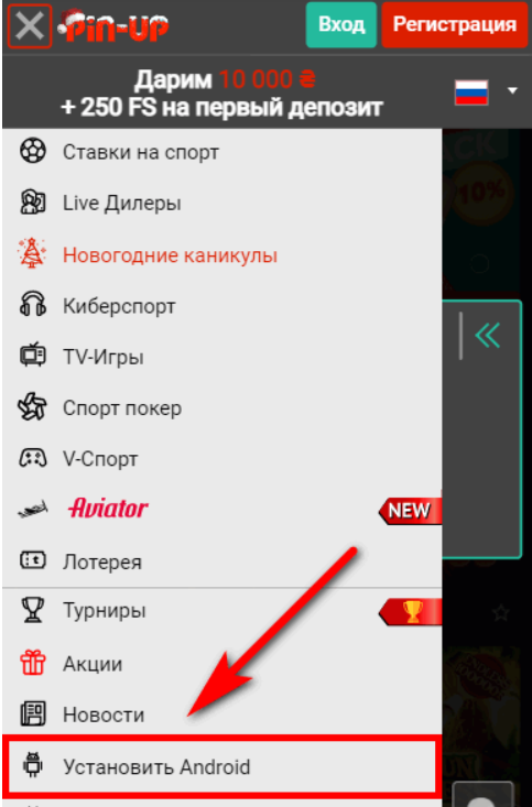 Pin up зеркало: успешный вход в персональный аккаунт платформы!
