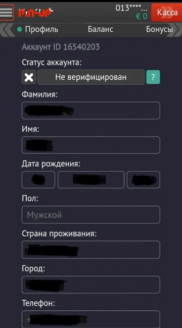 Приложение Pin up: топовое казино у вас в кармане!