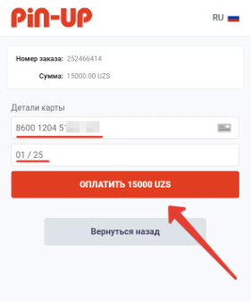 Pin Up Узбекистан: топовый игровой зал для ваших побед!