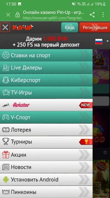 Приложение Pin up: топовое казино у вас в кармане!